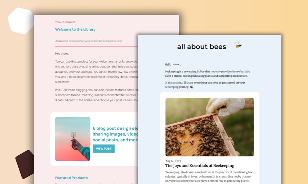 email newsletter platforms